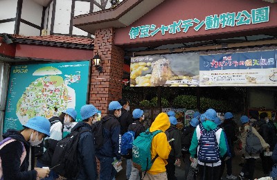 写真:伊豆シャボテン動物公園