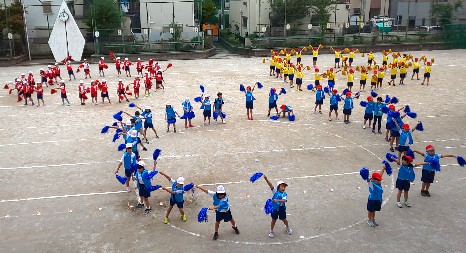 写真:体育の授業2(9月14日)