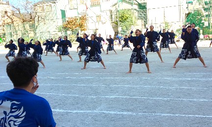 写真:三日ソーラン2