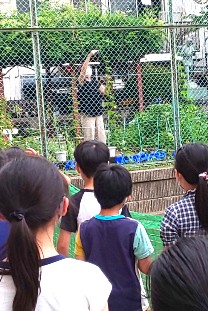 写真:ヘチマ観察