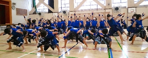 写真:三日ソーラン1