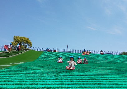 写真:芝をすべる様子