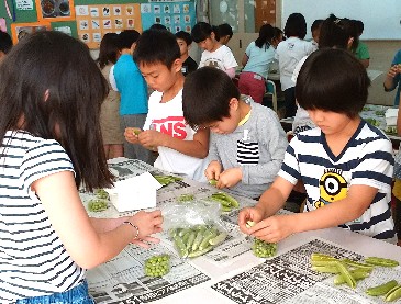 写真:エンドウの鞘むきに取り組む子どもたち