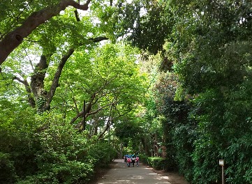 写真:公園内