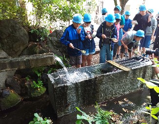 写真:柿田川湧水1