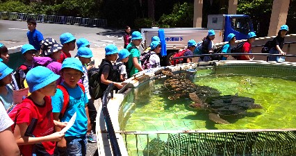 写真:水族館見学1