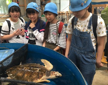 写真:水族館見学3