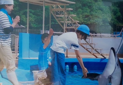 写真:イルカと握手する様子