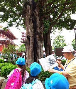 写真:浅草寺見学5