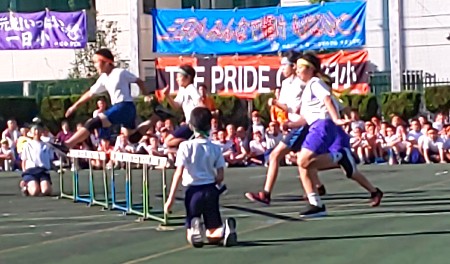 写真:運動会7