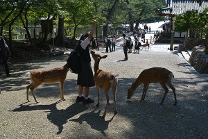 写真:修学旅行1日目141