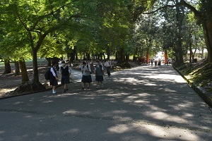 写真:修学旅行1日目144