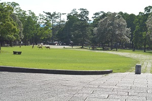 写真:修学旅行1日目156