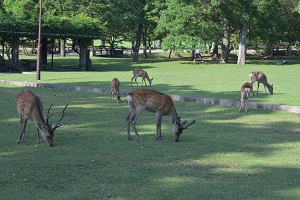 写真:修学旅行1日目157