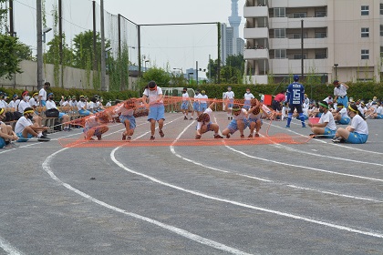 写真:運動会31