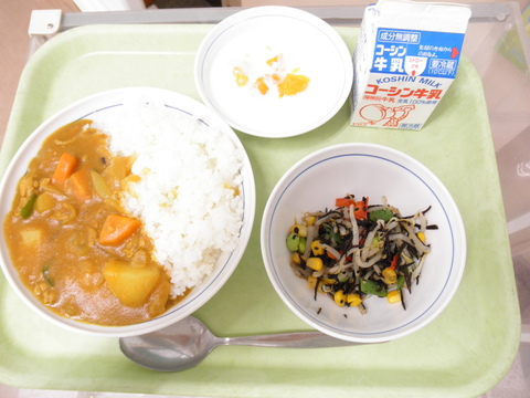 アルファ米を使用したチキンカレーライス