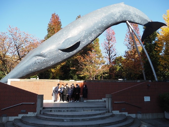 写真:東京国立科学博物館