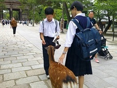 奈良公園にて