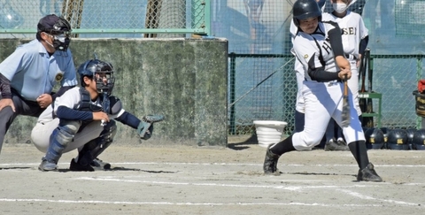 写真:都大会に進出した野球部