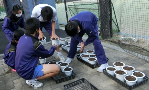 写真:チューリップの鉢植えを持つ生徒