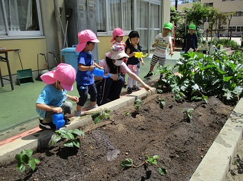 写真:植物にお水をあげる子どもたち