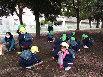 写真:＜年中・年長組＞東白鬚公園遠足4