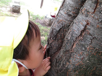 写真:年中組　親子遠足5