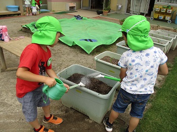 写真:栽培と収穫4