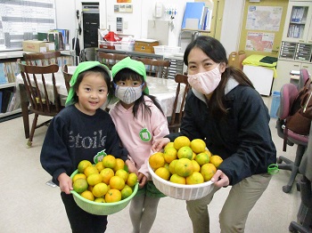 写真:苗植え・球根植えと収穫6