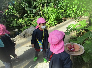 写真:年少組　足立区生物園遠足2