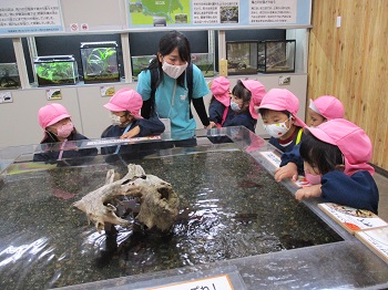 写真:年少組　足立区生物園遠足3