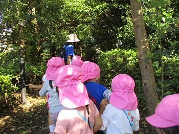 写真:年少組　瑞光橋公園散歩3