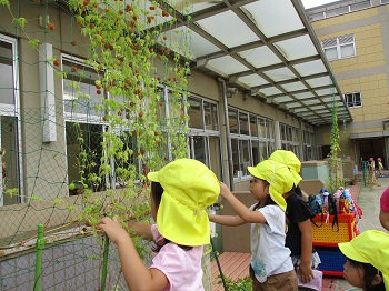 写真:2学期が始まりました5