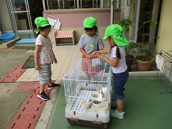 写真:年長組　1学期学級懇談会資料9