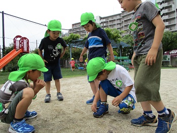 写真:どうしてこんなかたち？10