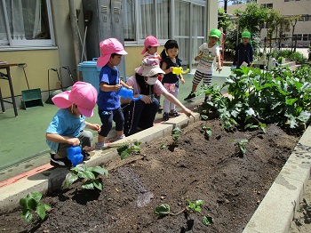 写真:幼稚園が始まりました3