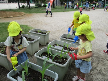 写真:幼稚園が始まりました9