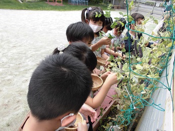 写真:幼稚園が始まりました15