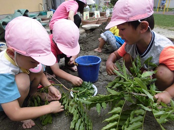 写真:草を持って砂で遊ぶ子どもたち