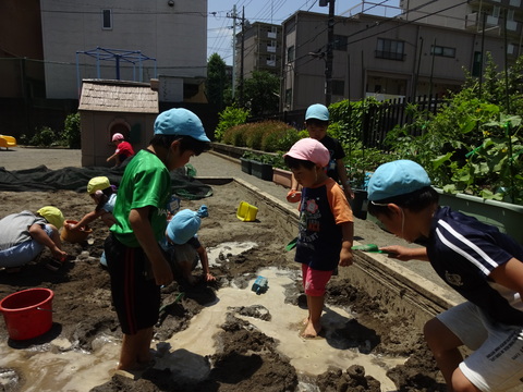 ダイナミックに遊ぶ子供たちです