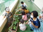 写真:大きく生長した野菜を見ている親子