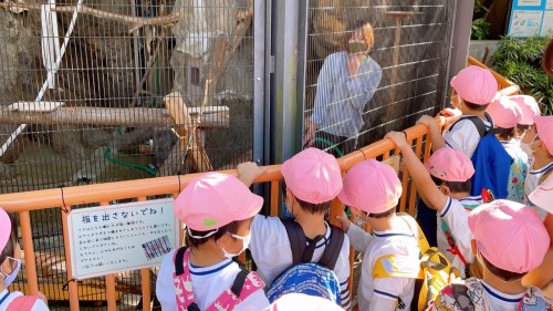 写真:行船公園遠足(全園児)5