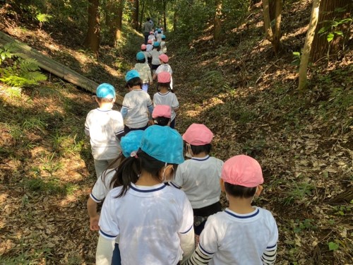 写真:芋ほり遠足(年中組・年長組)9