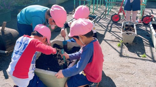 写真:お花を植えよう(年中組・年長組)2