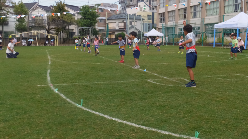 写真:運動会(全園児)8