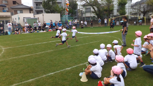 写真:運動会(全園児)12