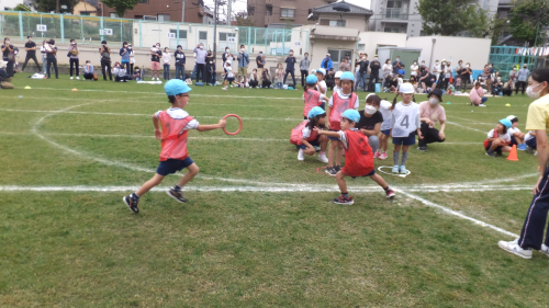 写真:運動会(全園児)16