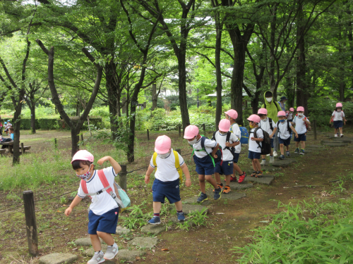 写真:足立区都市農業公園遠足(年中組・年長組)4