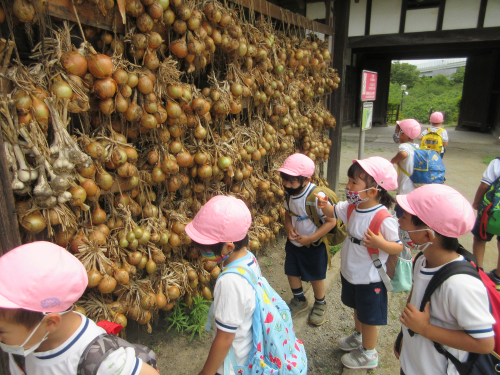 写真:足立区都市農業公園遠足(年中組・年長組)5