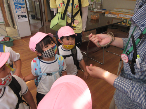 写真:足立区都市農業公園遠足(年中組・年長組)8